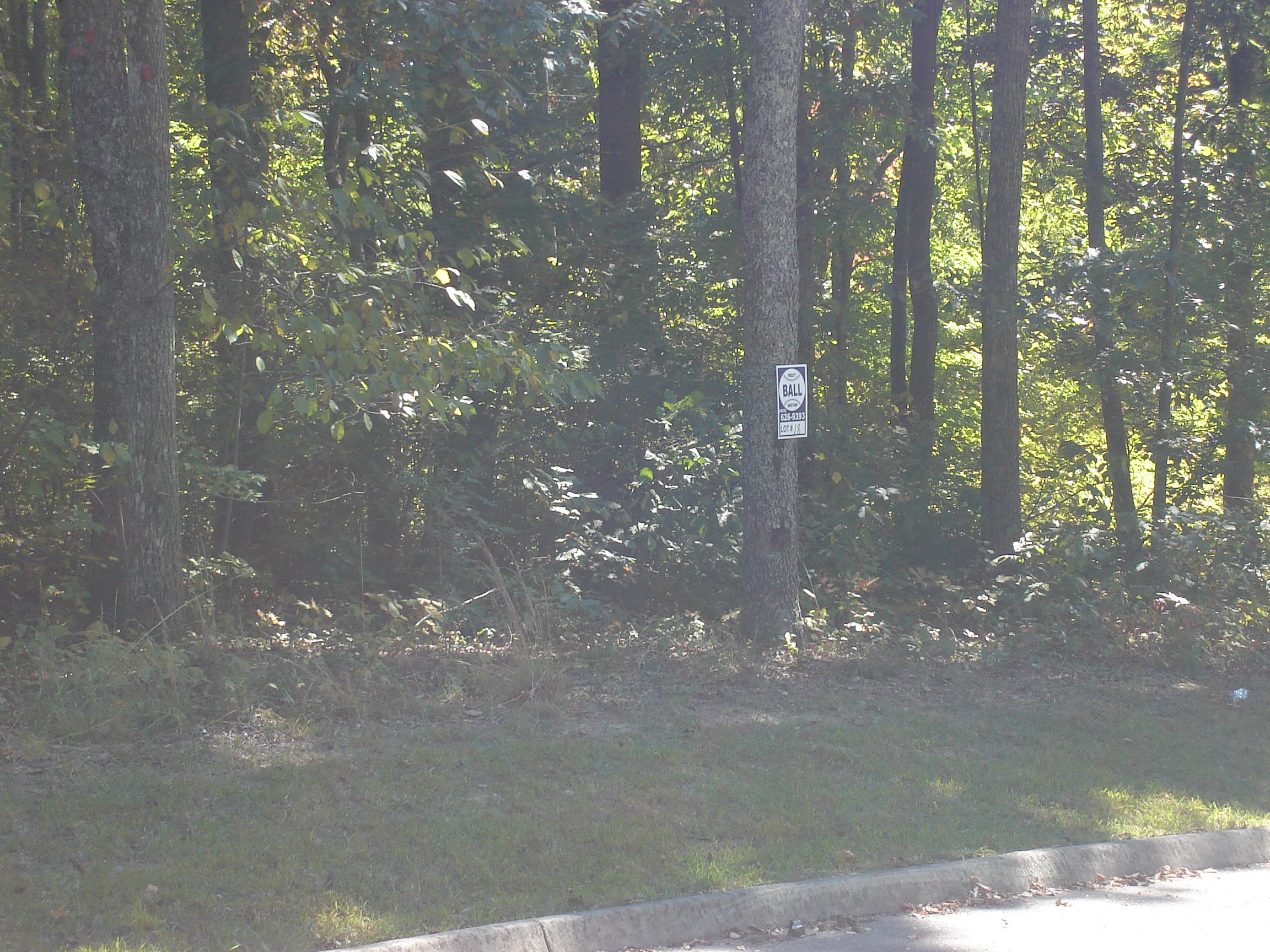 Lot 18 Redbird Lane Rutledge, TN 37861 - Photo 2 of 2 Lot 18