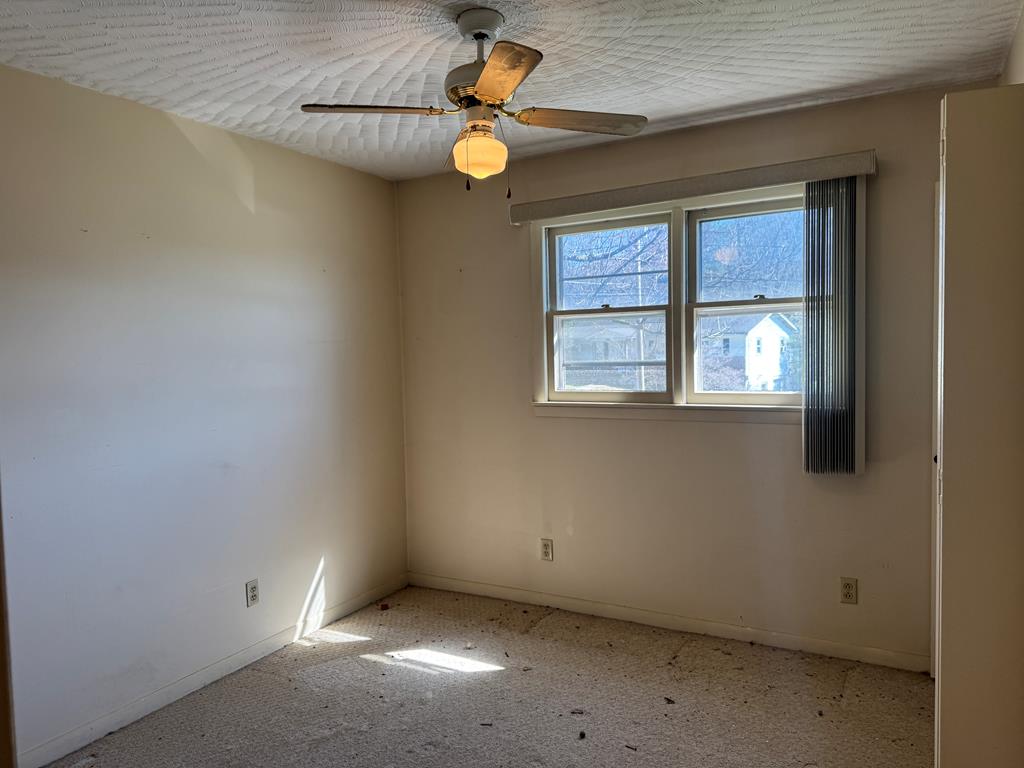 31205 Old Stage Road Glade Spring, VA 24340 - Photo 10 of 18 Gallery Image 10