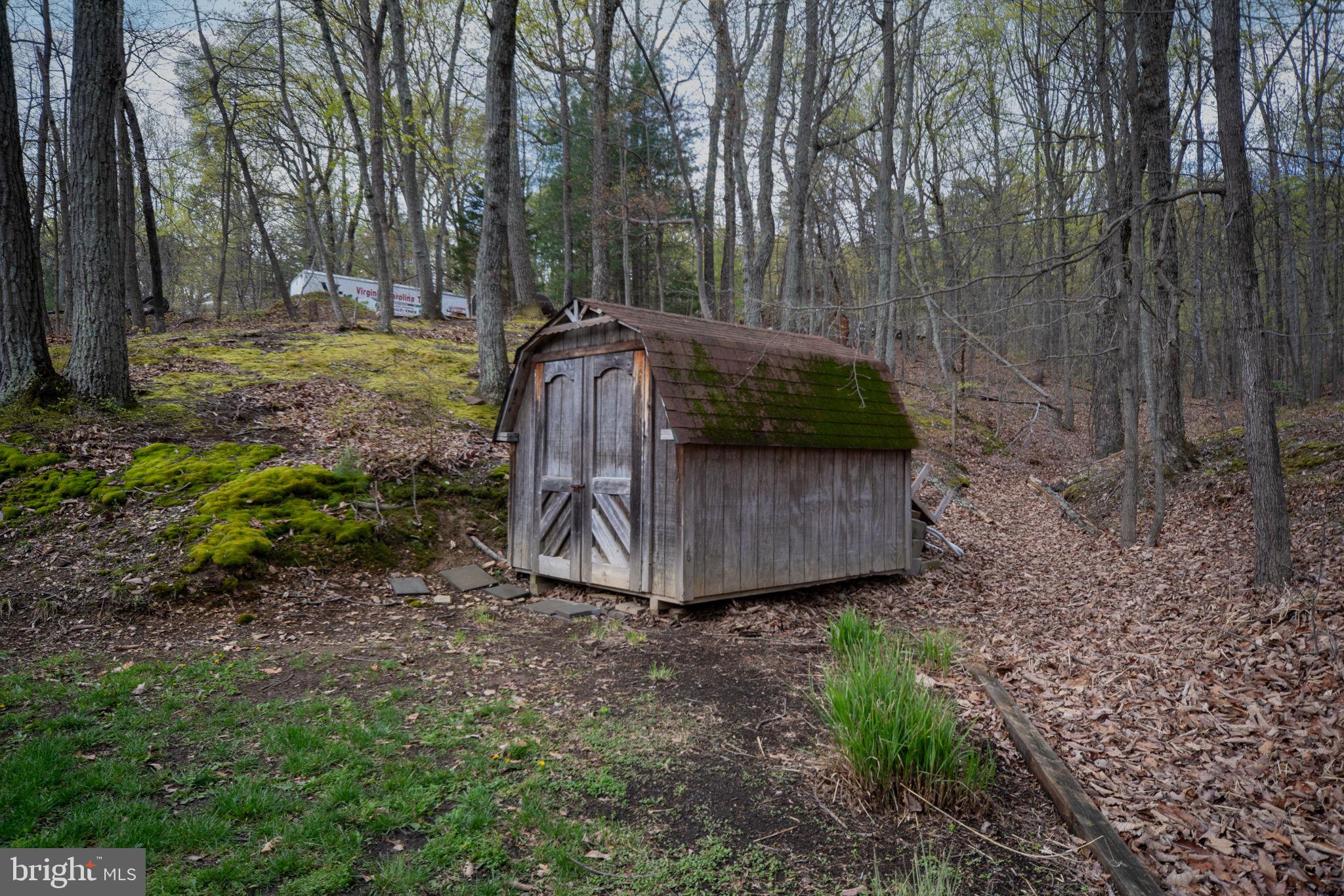 4098 Mountain Road Haymarket, VA 20169 - Photo 45 of 49 a view of a backyard with large trees and wooden fence