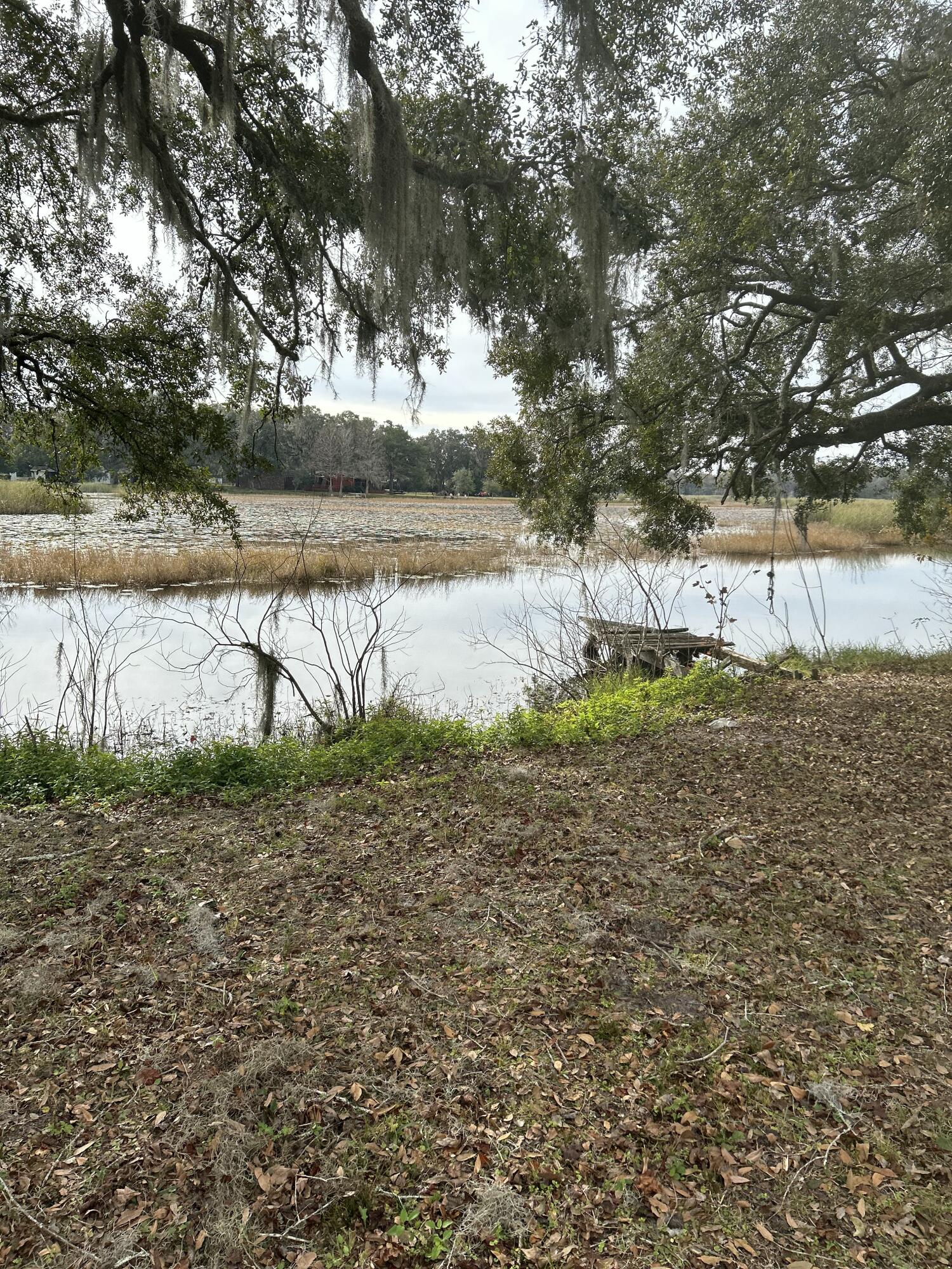 7700 East Timber Lane Inverness, FL 34453 - Photo 43 of 45 IMG_2344
