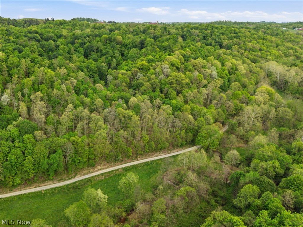 0 Pratts Run Road Woodsfield, OH 43793 - Photo 3 of 24