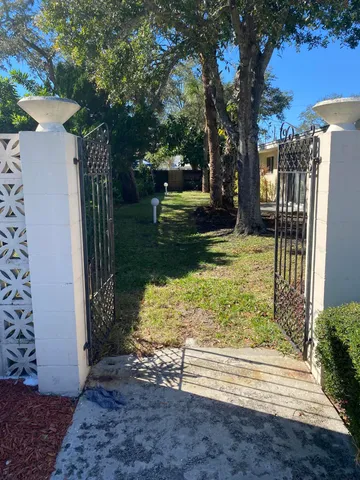 a view of a yard with plants and large trees