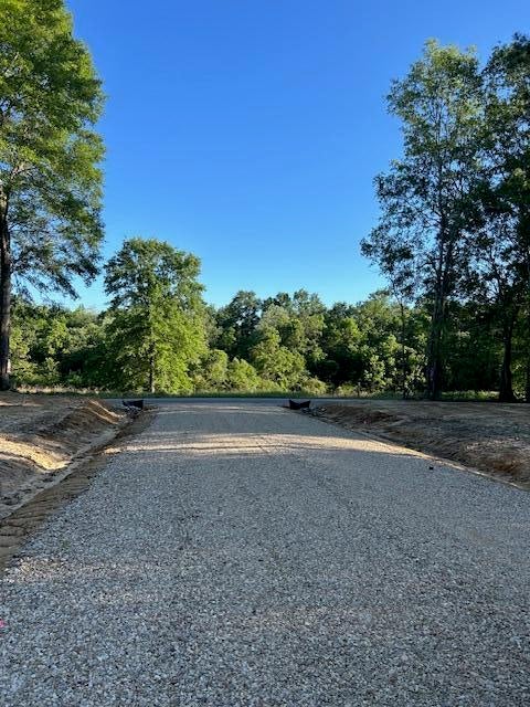 1 Savannah Millard Road Poplarville, MS 39470 - Photo 1 of 1 Gallery Image 1