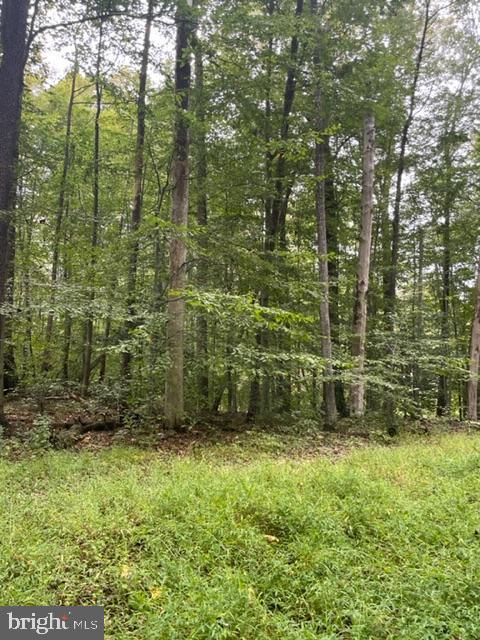 11829 Lester Road Manassas, VA 20112 - Photo 10 of 13 Gallery Image 10
