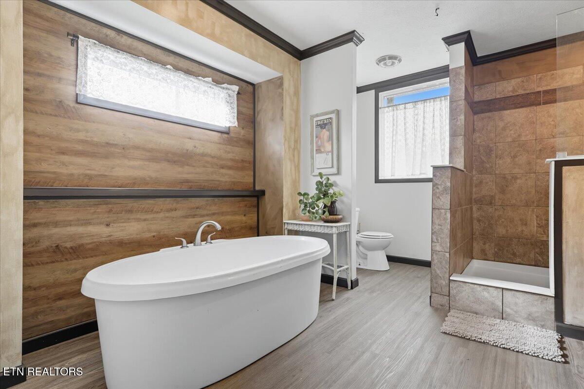 340 Trigonia Road Greenback, TN 37742 - Photo 11 of 41 Primary Bathroom