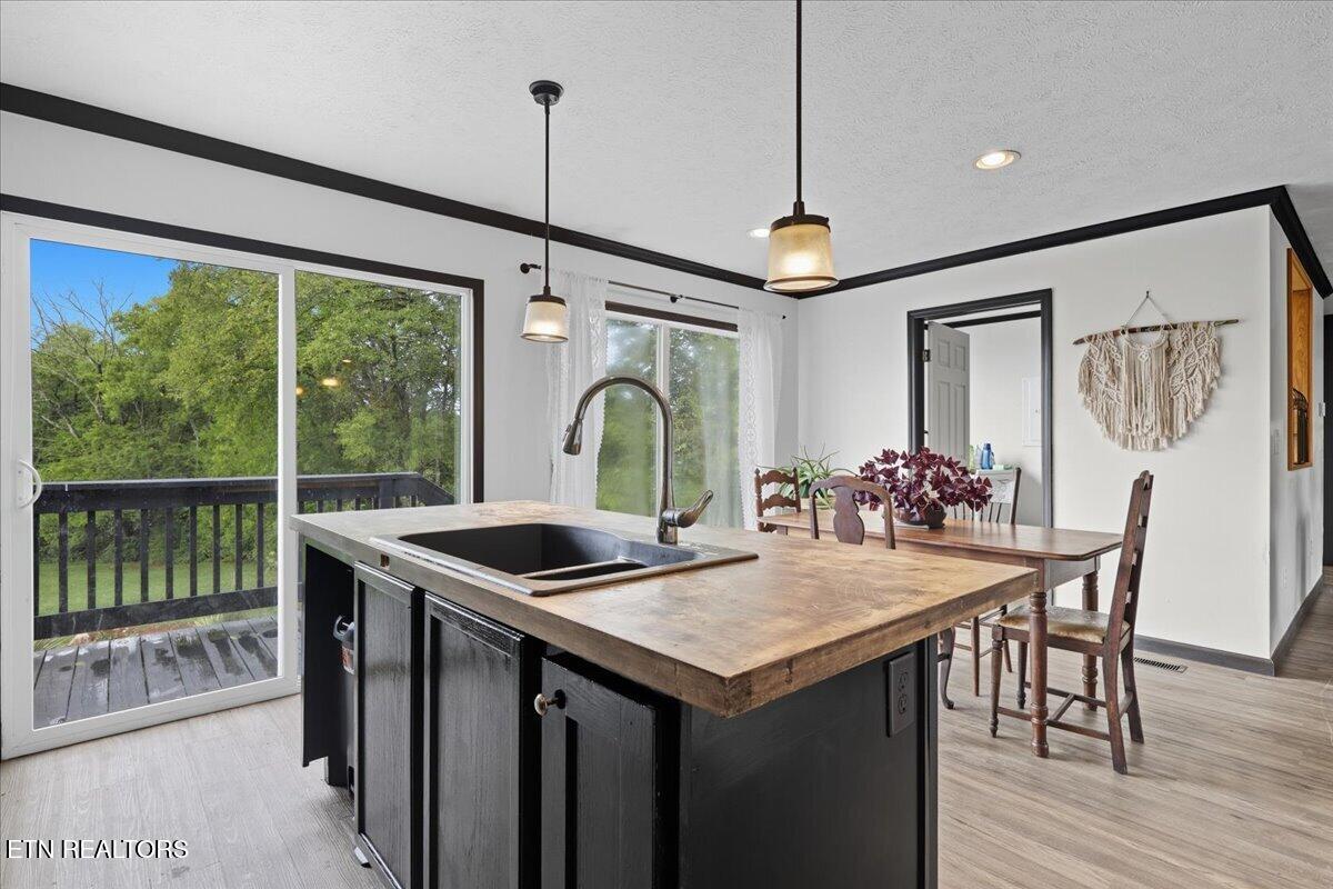 340 Trigonia Road Greenback, TN 37742 - Photo 13 of 41 Kitchen