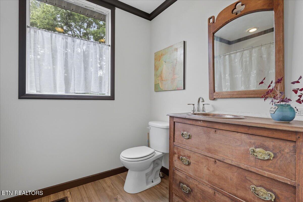 340 Trigonia Road Greenback, TN 37742 - Photo 20 of 41 Bathroom 2