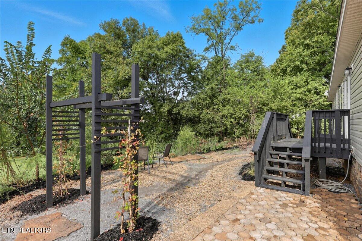 340 Trigonia Road Greenback, TN 37742 - Photo 25 of 41 Back