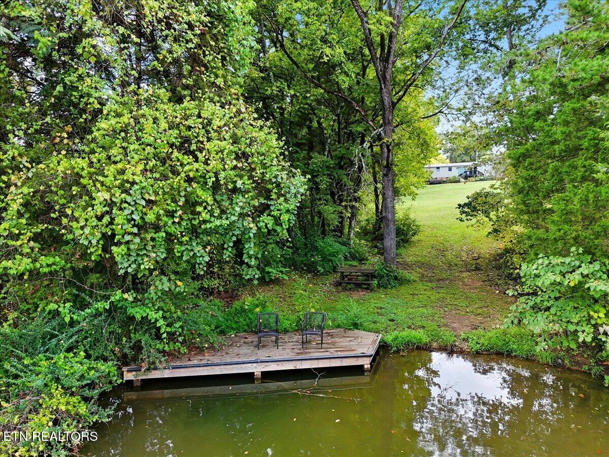 340 Trigonia Road Greenback, TN 37742 - Photo 30 of 41 Dock