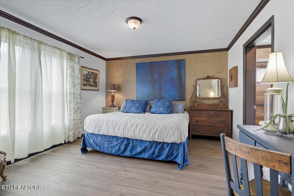 340 Trigonia Road Greenback, TN 37742 - Photo 9 of 41 Primary Suite