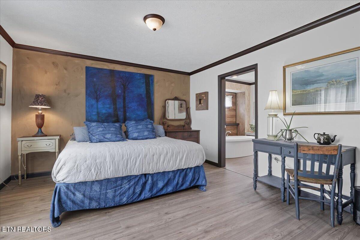 340 Trigonia Road Greenback, TN 37742 - Photo 10 of 41 Primary Suite