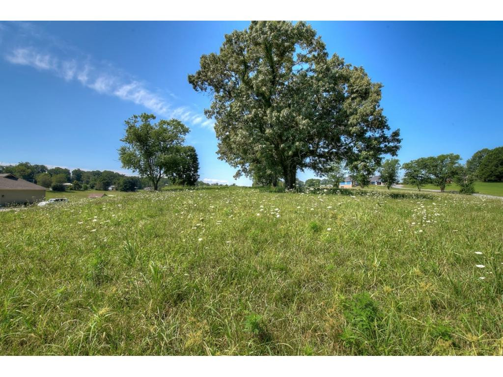 Tbd Sherfey Road, Unit 25 Jonesborough, TN 37659 - Photo 4 of 6 Photo 4
