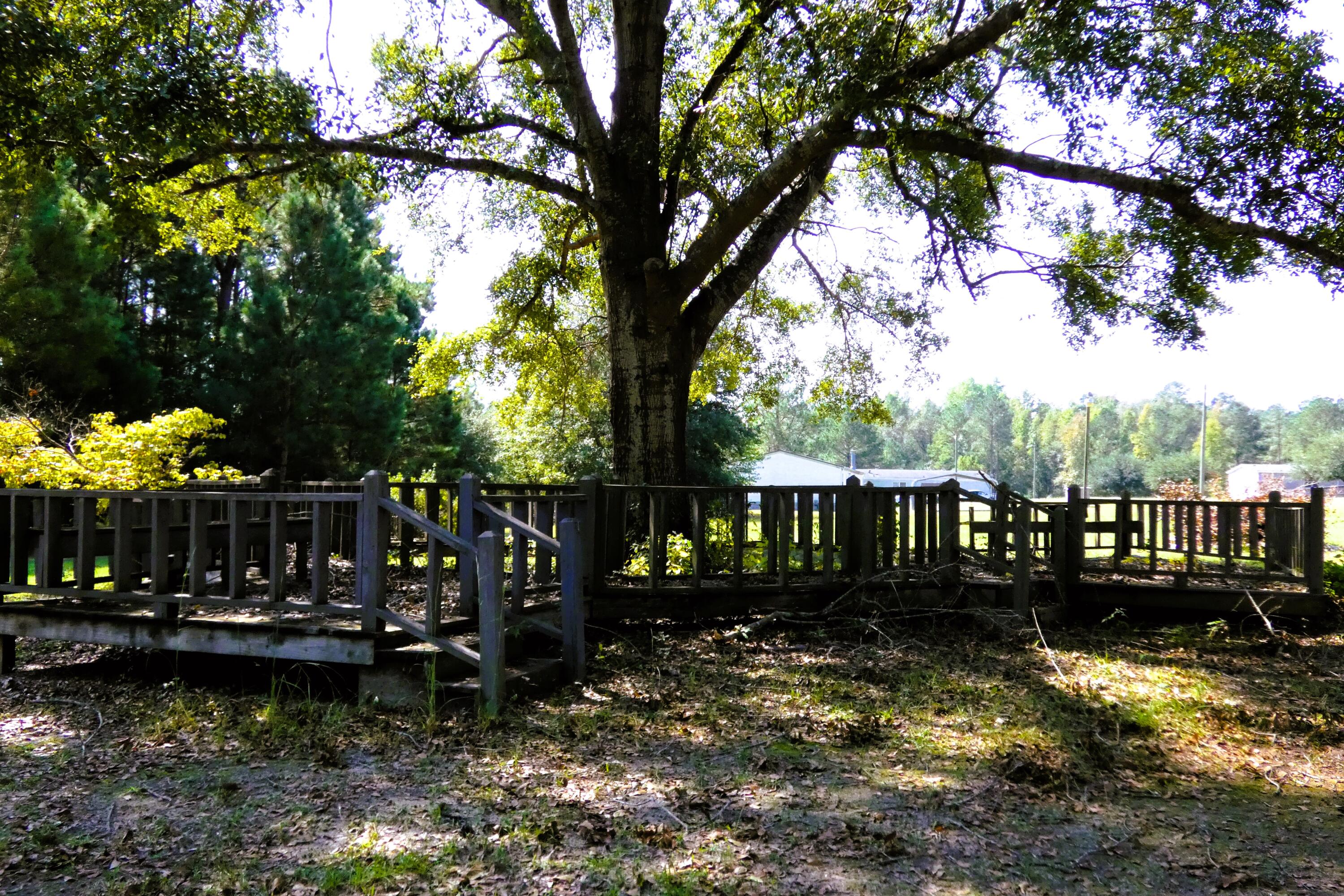 328 River Ridge Drive Orangeburg, SC 29115 - Photo 32 of 32 P1000052
