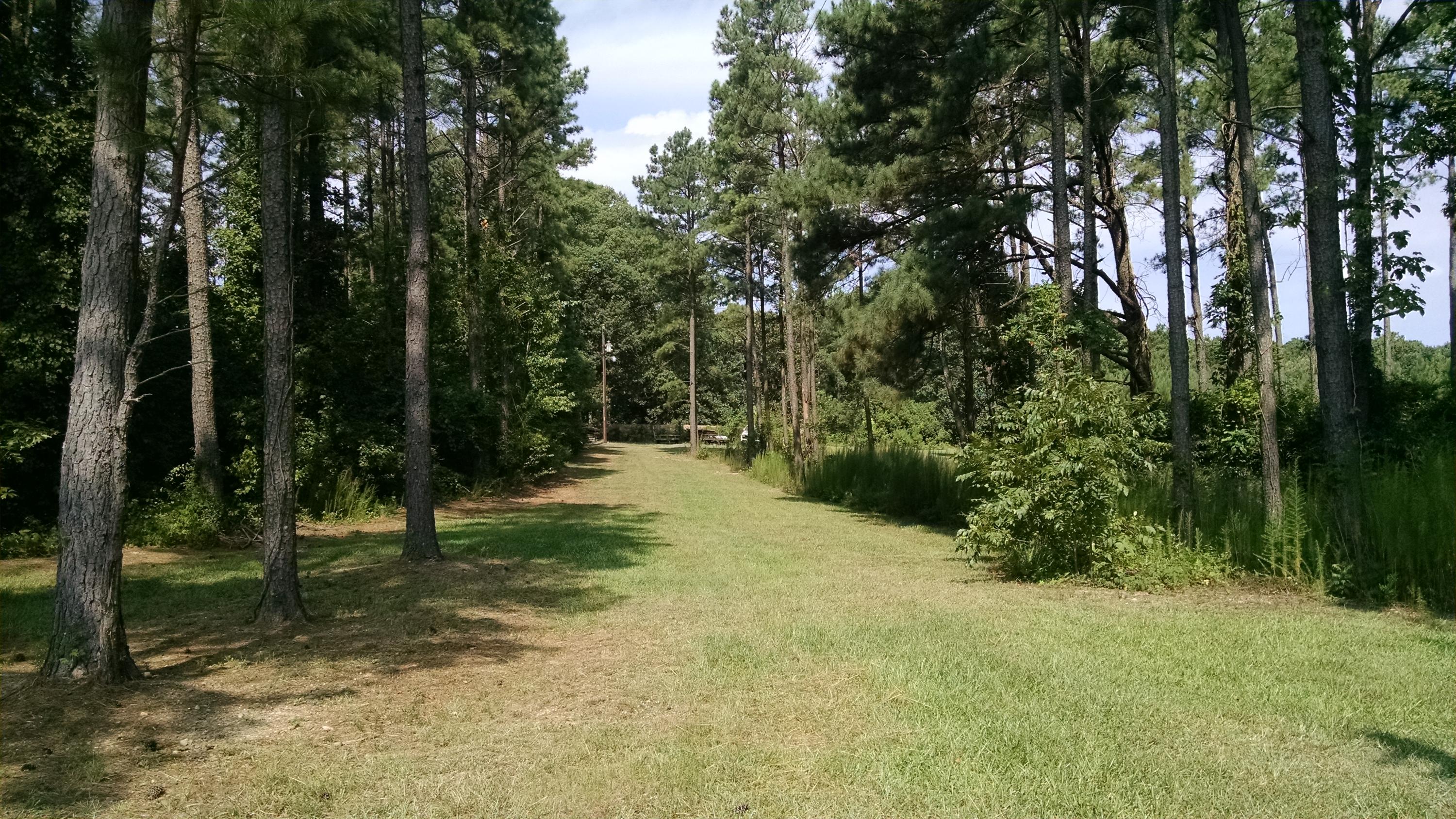 6798 Cool Springs Road Broadway, NC 27505 - Photo 21 of 24 IMG_20150728_104931615