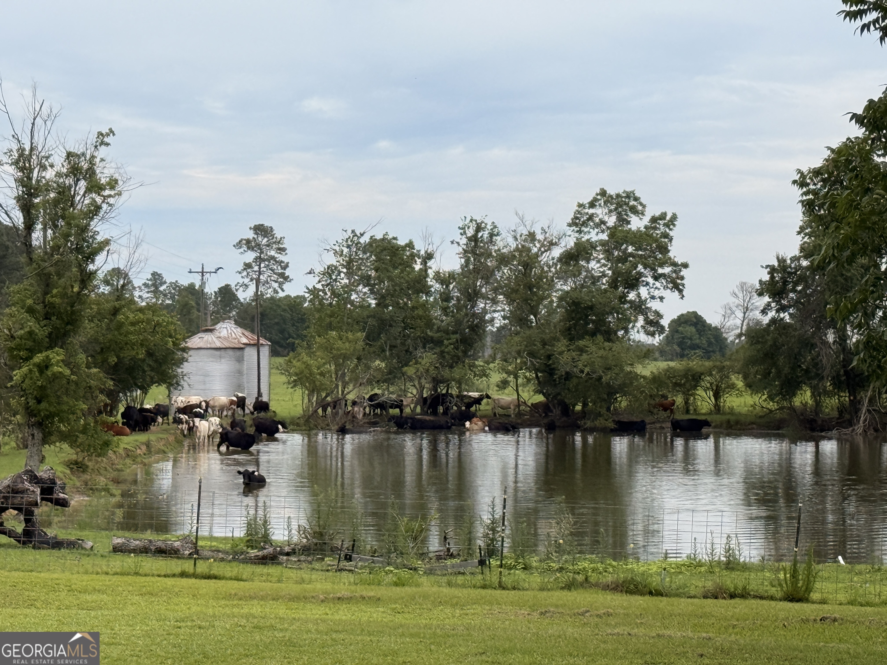 3349 Scotland Road Alamo, GA 30411 - Photo 47 of 76