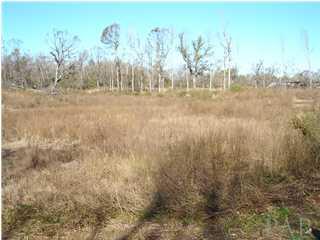 1 Atmosphere Road Atmore, AL 36502 - Photo 1 of 2