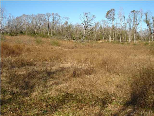 1 Atmosphere Road Atmore, AL 36502 - Photo 2 of 2