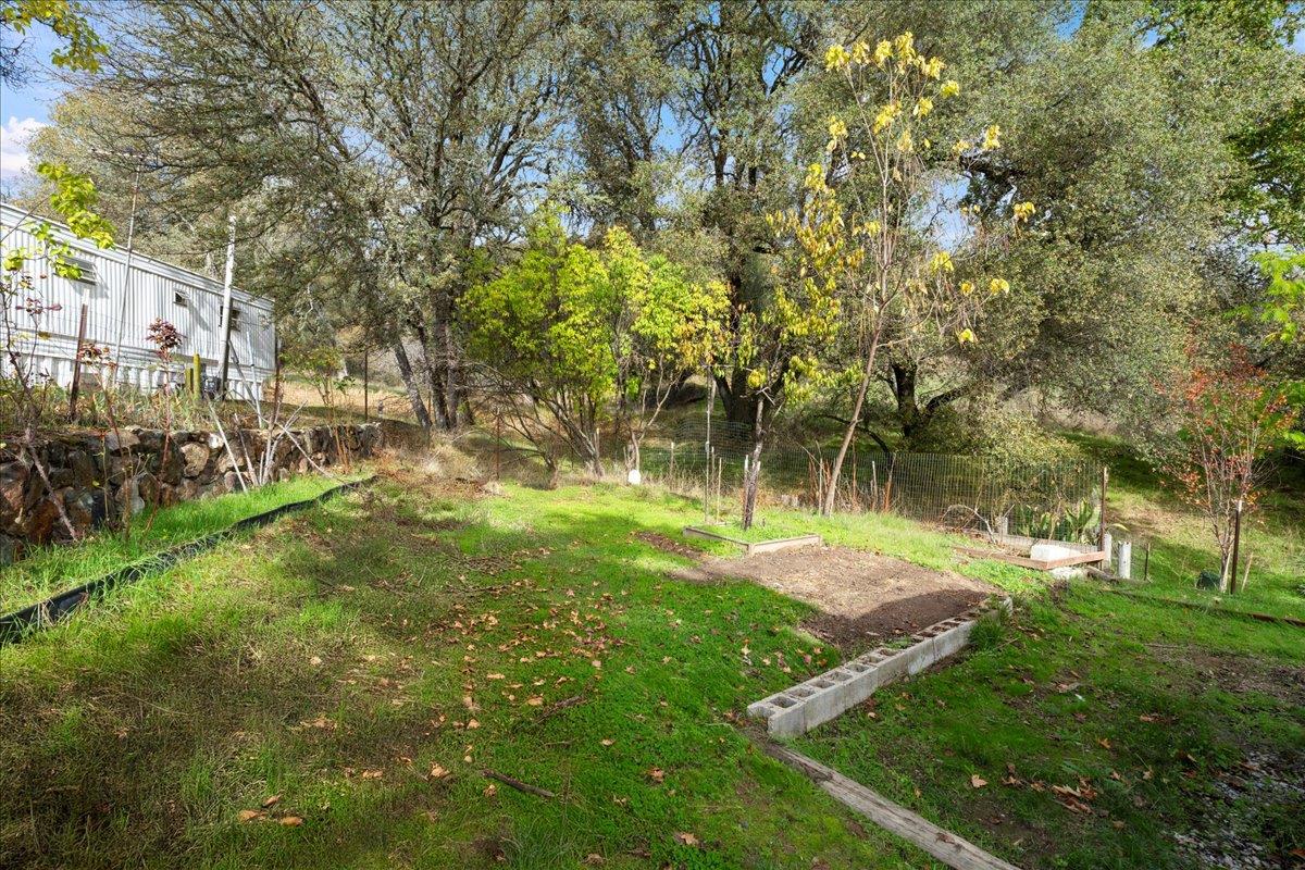 1525 Cold Springs Road, Unit 37 Placerville, CA 95667 - Photo 25 of 37 a view of backyard with green space