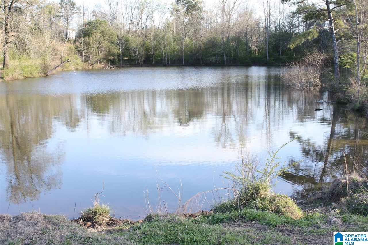 11506 Stemley Road Lincoln, AL 35096 - Photo 15 of 21