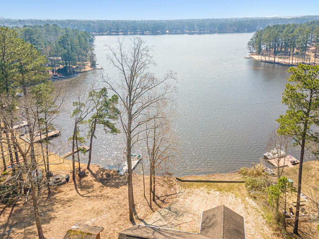 125 New Stillwell Road Springfield, GA 31329 - Photo 3 of 46 103 Lakeview Dr - waterfront