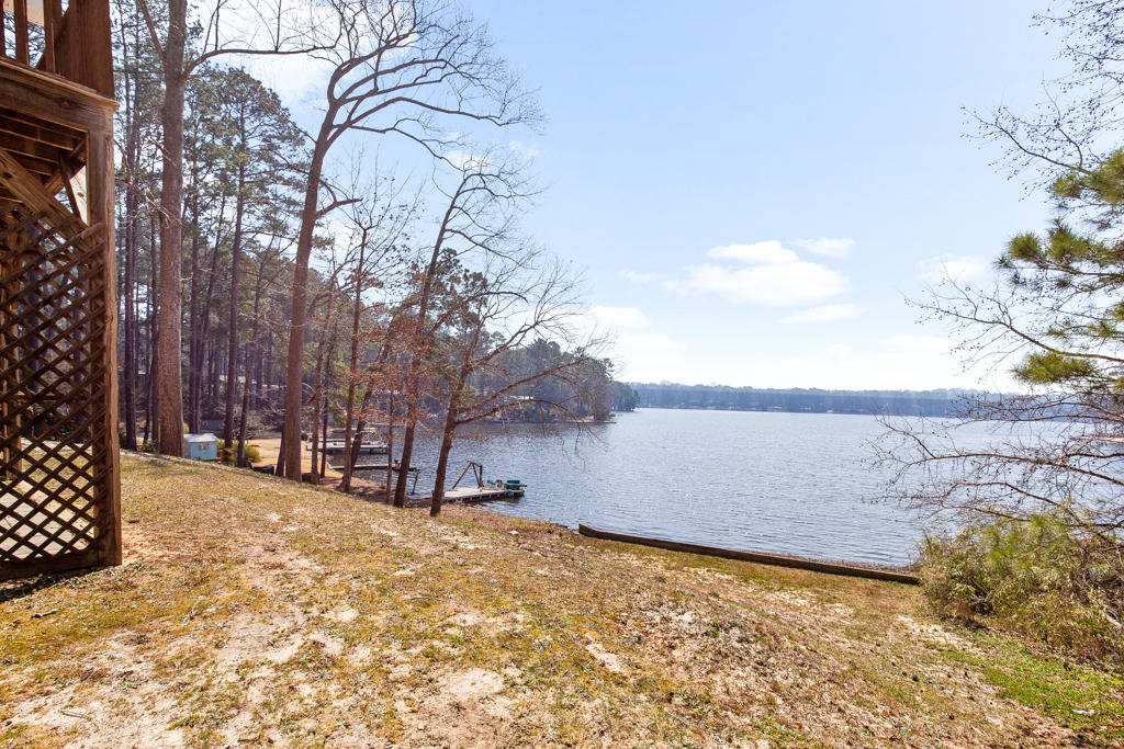 125 New Stillwell Road Springfield, GA 31329 - Photo 33 of 46 Backyard view