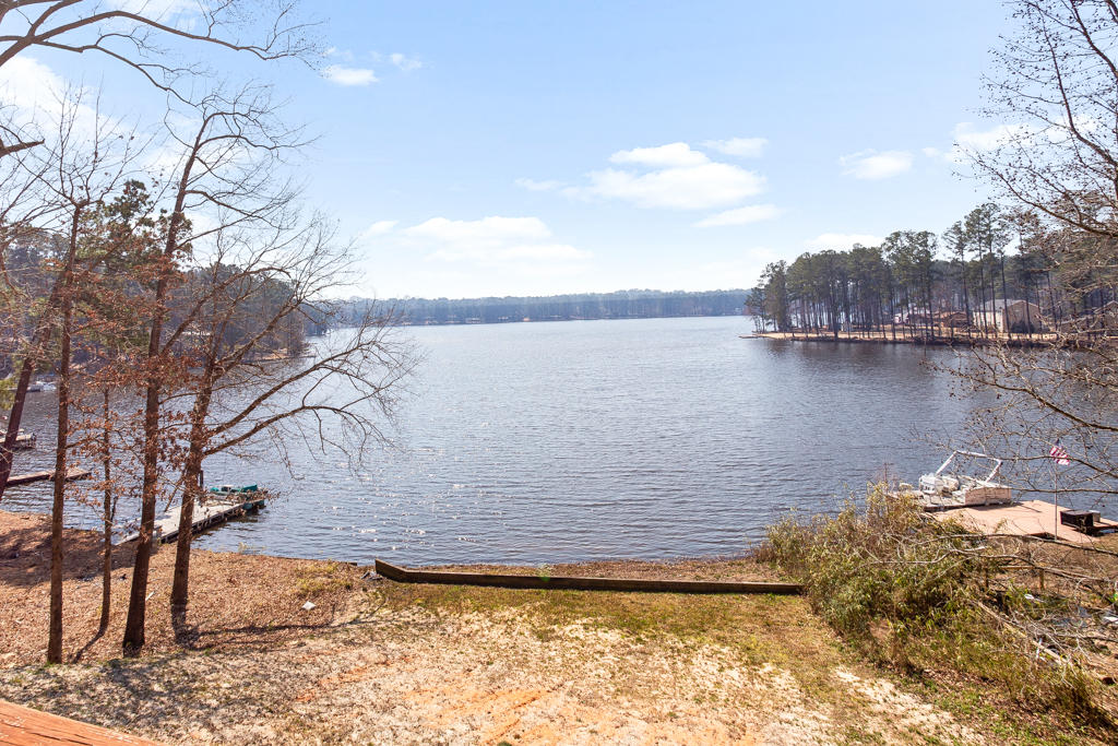 125 New Stillwell Road Springfield, GA 31329 - Photo 36 of 46 Backyard view of Thagards Lake
