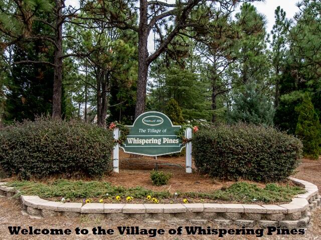 125 New Stillwell Road Springfield, GA 31329 - Photo 42 of 46 Welcome to the Village of Whispering Pin