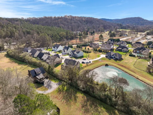 a view of a swimming pool with a yard