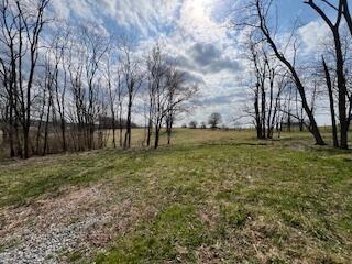 200 Prescott Road Paris, KY 40361 - Photo 1 of 16 thumbnail_IMG_5525