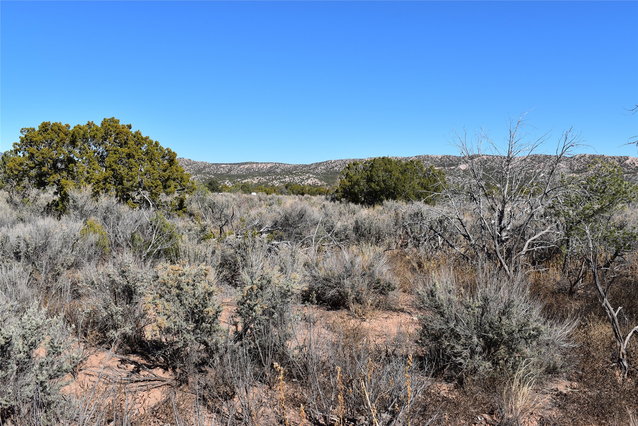 1684 A El Rito, NM 87530 - Photo 8 of 8