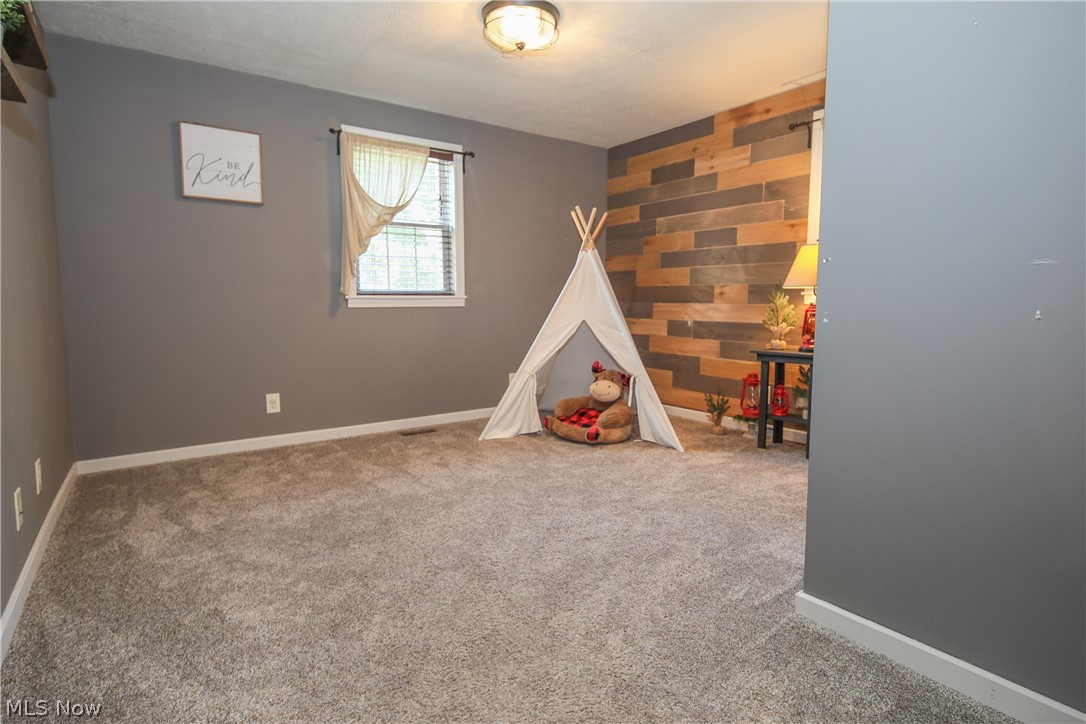 38610 Spiedel Town Road Bethesda, OH 43719 - Photo 16 of 33 Rec room featuring carpet flooring