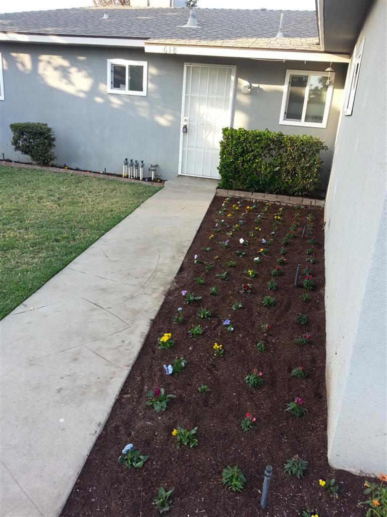 618 Manning Avenue Reedley, CA 93654 - Photo 3 of 24 Newly Landscape Flower Beds Sprinklers Front/Back