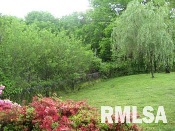 4624 Springer Ridge Road Carbondale, IL 62902 - Photo 9 of 10