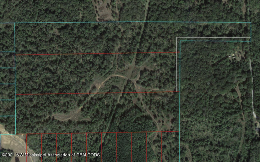 25 Tate Marshall Road Coldwater, MS 38618 - Photo 2 of 2 EC6D17C0-4282-4069-B3A8-F64080AD7D8B