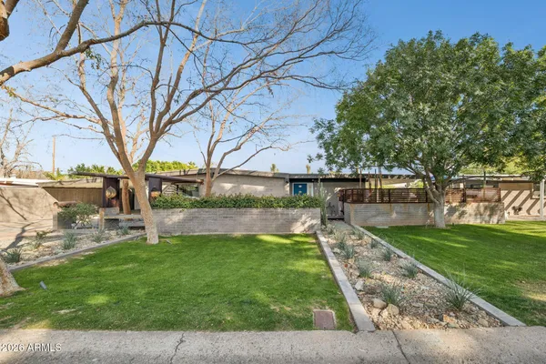 a view of yard with tree