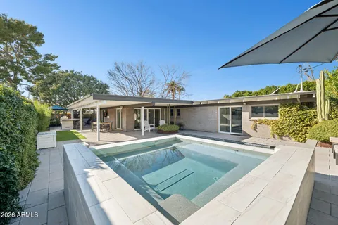 a view of a yard with plants and trees