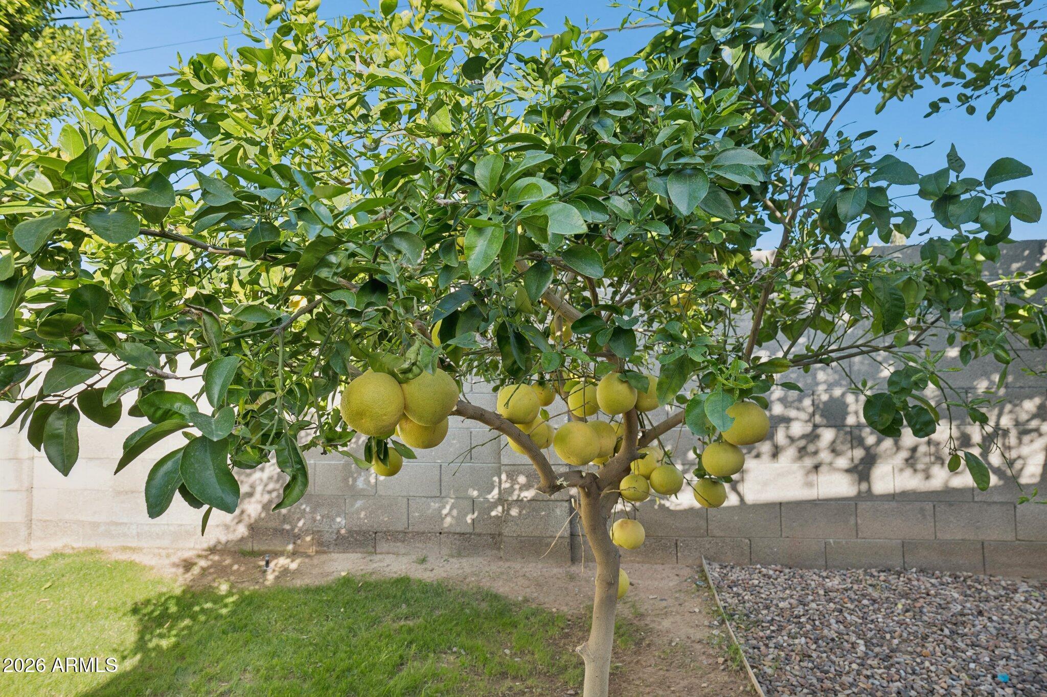 5735 North 11th Street Phoenix, AZ 85014 - Photo 49 of 60 59-web-or-mls-5735-north-11th-st
