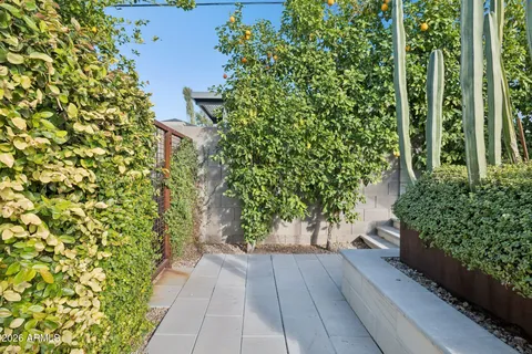 a view of a yard with table and chairs and a large tree