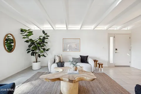 a living room with furniture and a potted plant