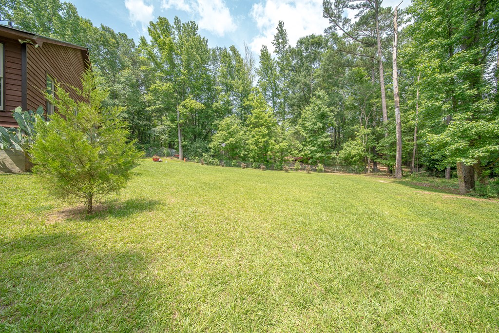 14214 Ridge Court Upatoi, GA 31829 - Photo 7 of 43 Gallery Image 7