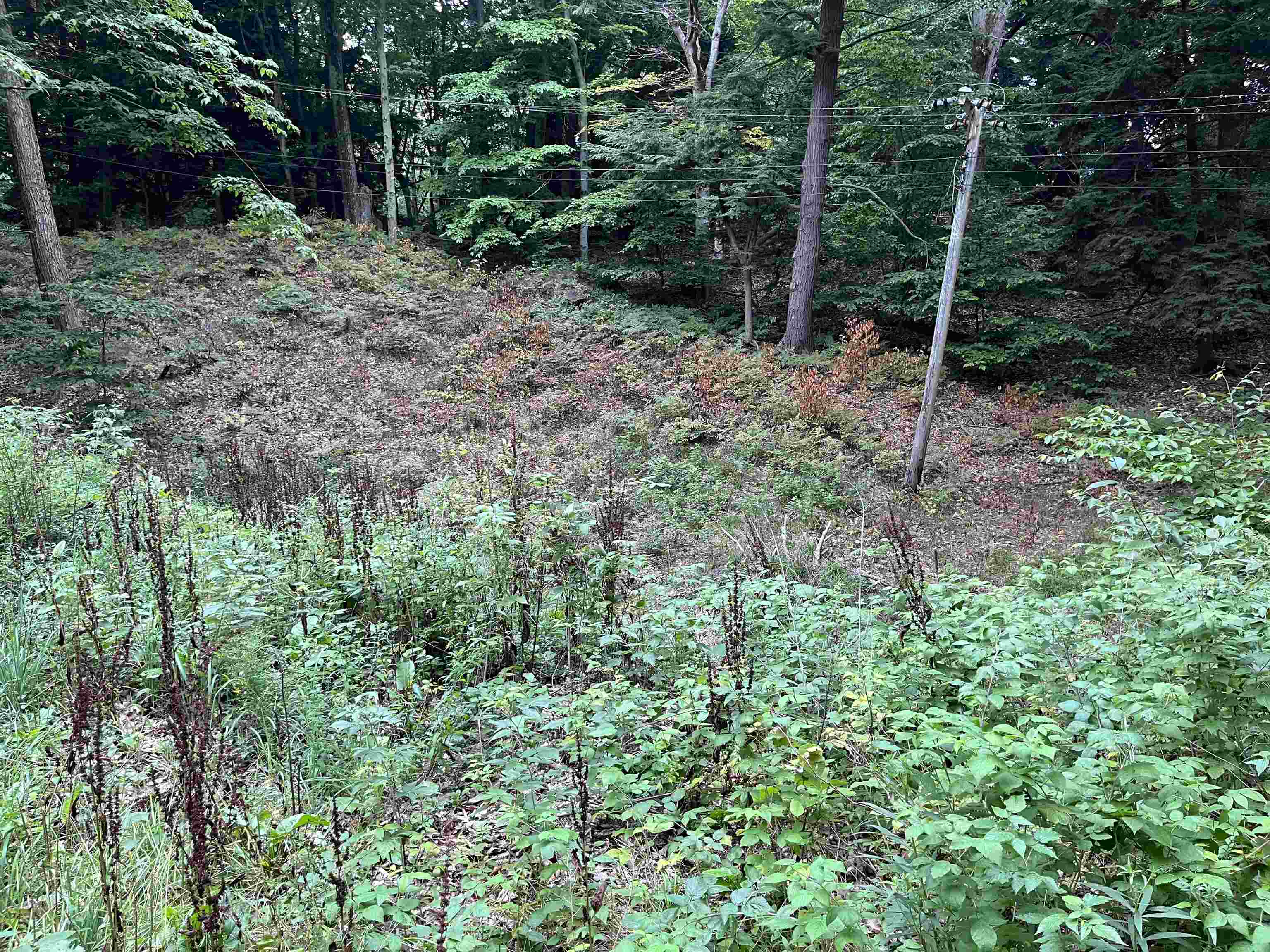7 Beach Road Frankfort, MI 49635 - Photo 13 of 15