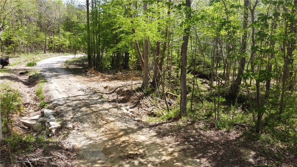 Amelia Springs Road Jetersville, VA 23083 - Photo 8 of 16 Gallery Image 8
