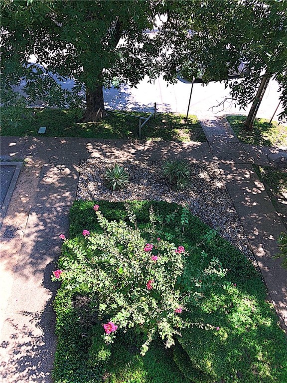 2210 Pearl Street, Unit 304 Austin, TX 78705 - Photo 26 of 32 a view of a tree with a yard