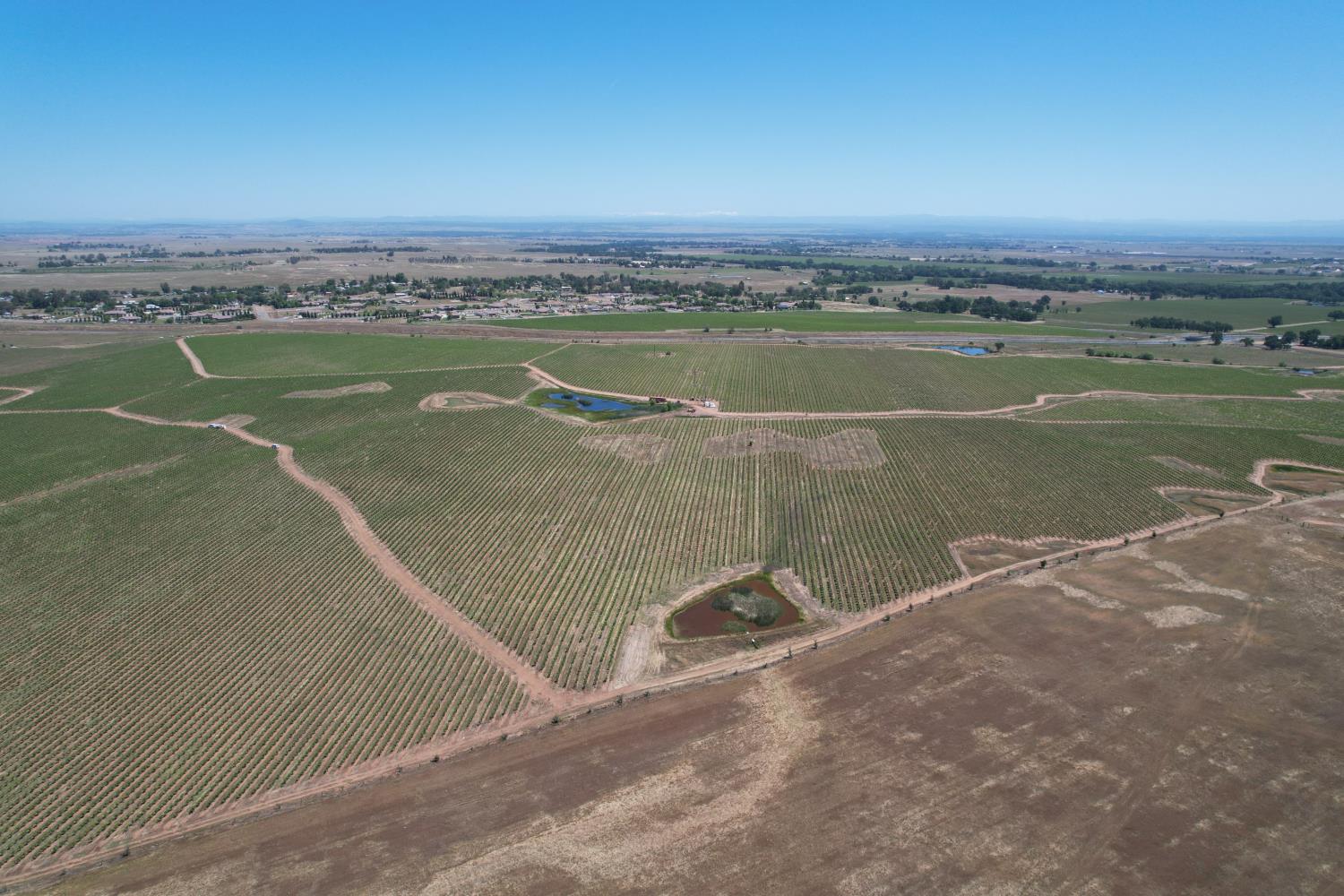 0 Grant Line Road Elk Grove, CA 95624 - Photo 18 of 20