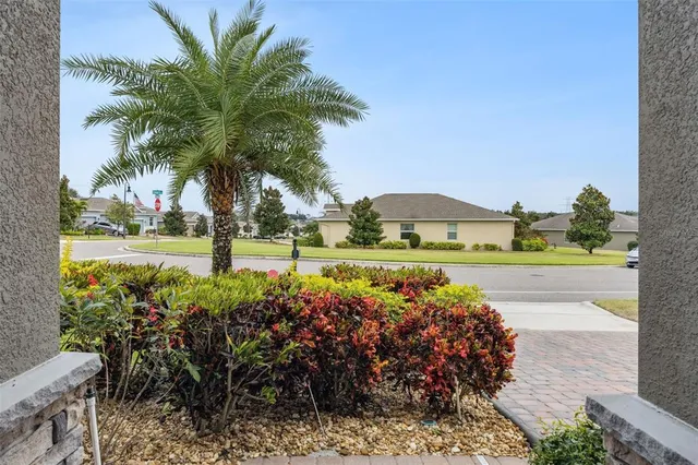 a view of a park with palm trees