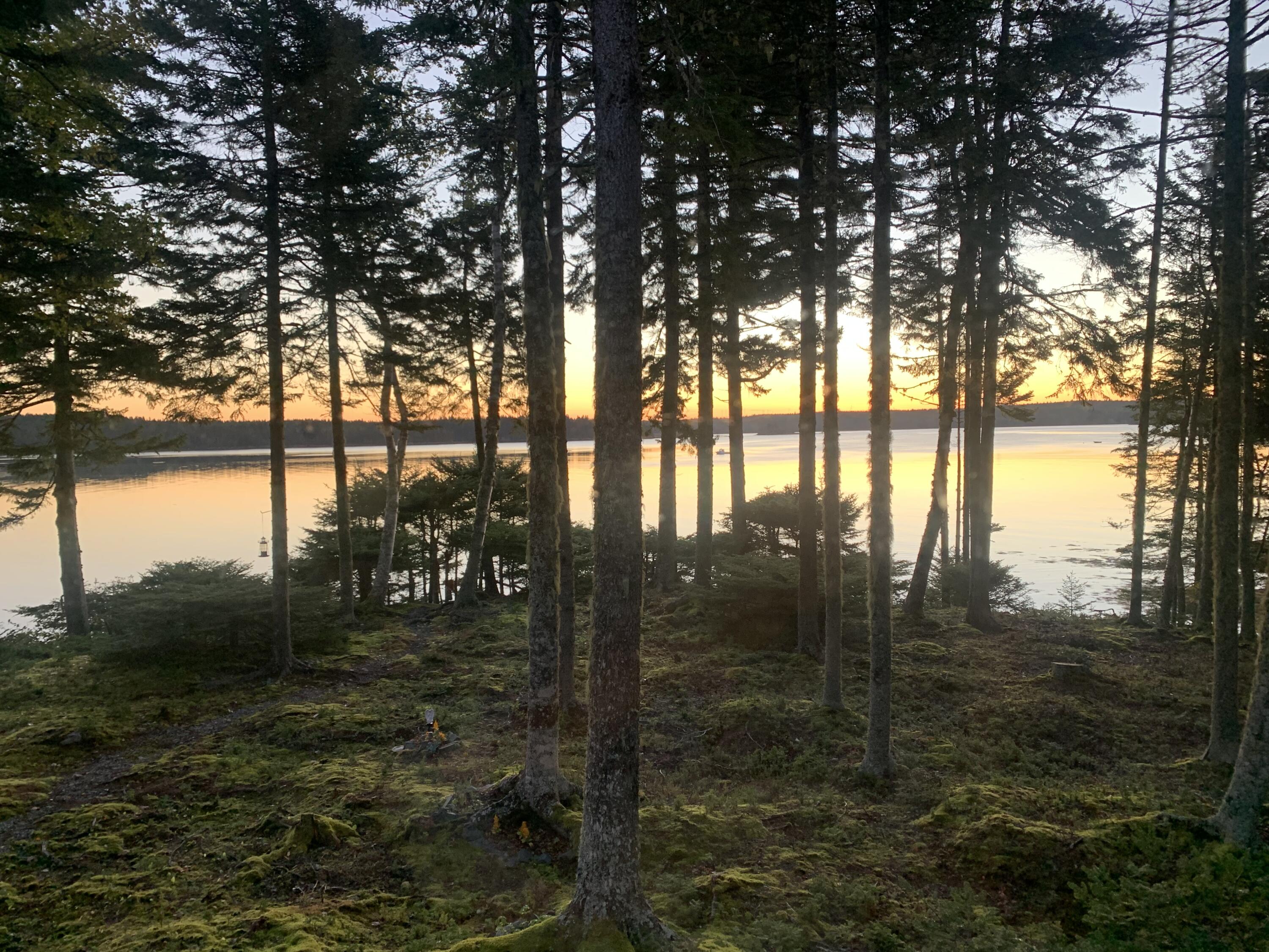 576 Duck Cove Road Roque Bluffs, ME 04654 - Photo 48 of 56 Sunrise 2