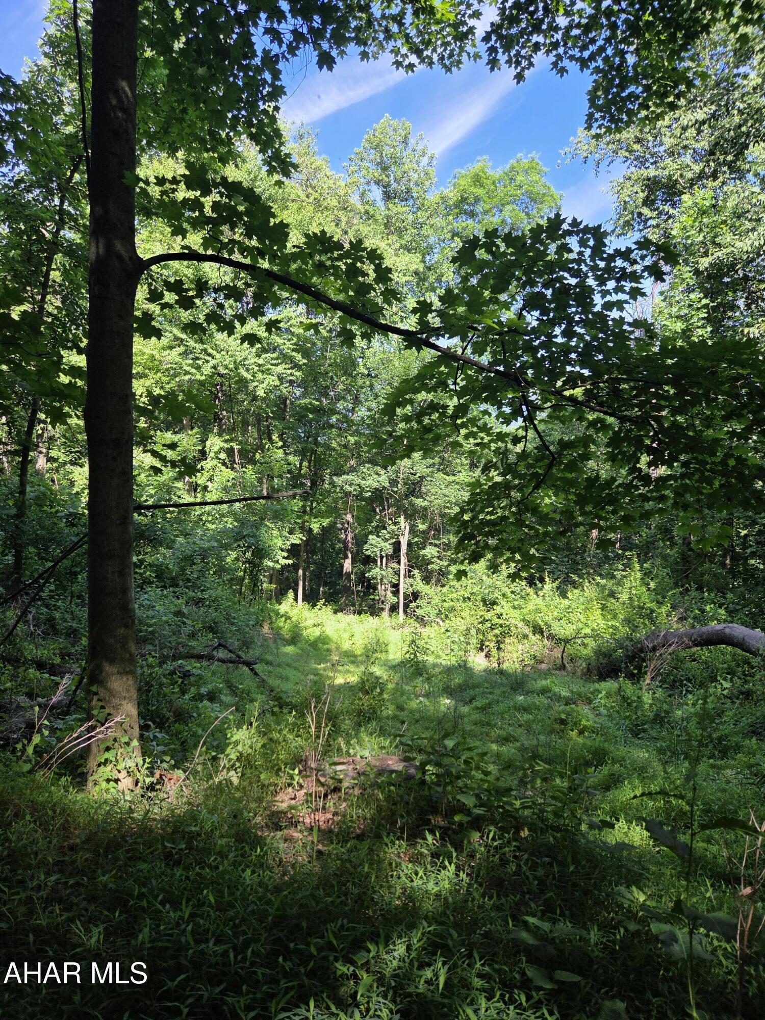 0 Sugar Ridge Road McVeytown, PA 17051 - Photo 19 of 19