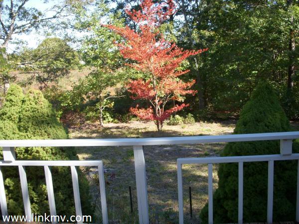 10 R Pulpit Rock Road Oak Bluffs, MA 02557 - Photo 10 of 10 Gallery Image 10