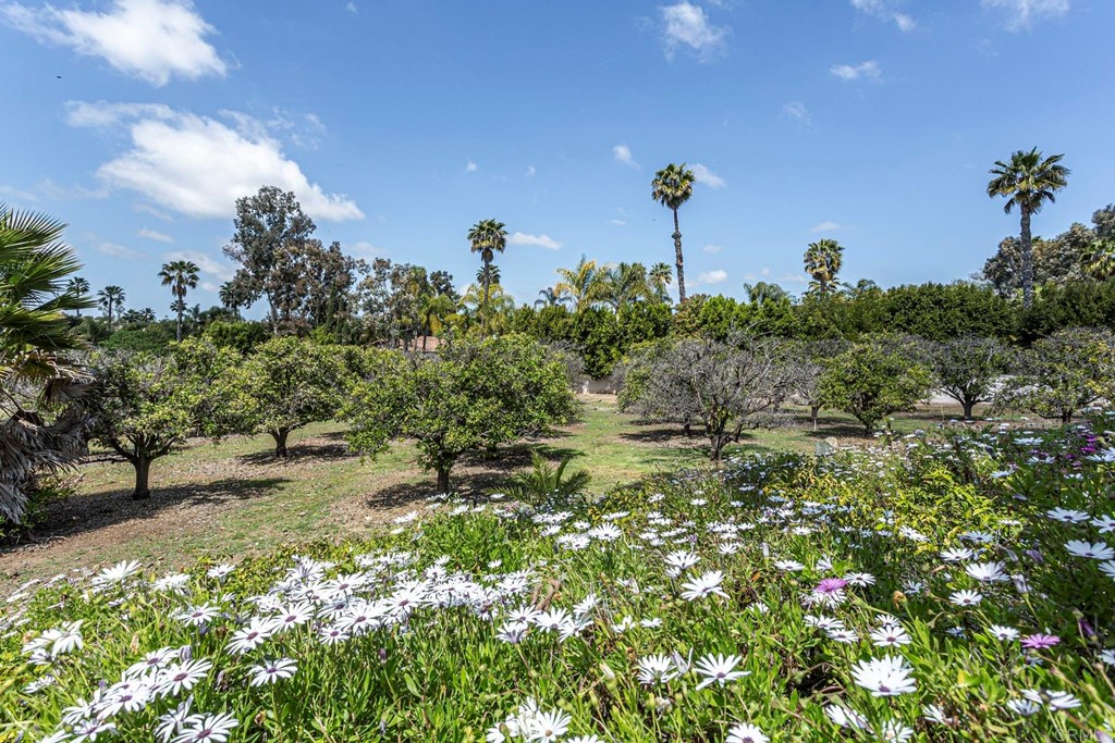 6944 Rancho Cielo Rancho Santa Fe, CA 92067 - Photo 30 of 37 a view of a street with houses