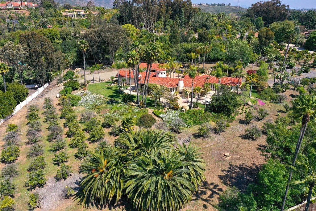 6944 Rancho Cielo Rancho Santa Fe, CA 92067 - Photo 34 of 37 a view of a garden with a tree